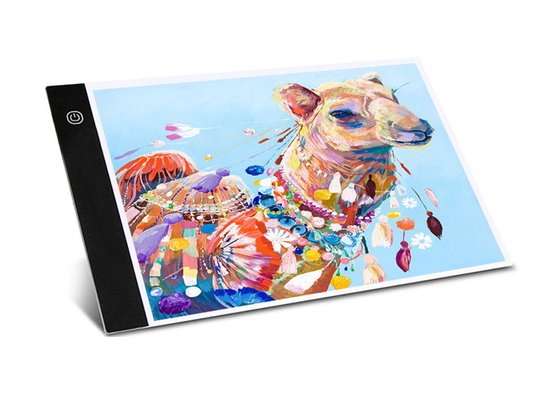 Matériel de découverte de découverte ultra mince d'acrylique de panneau de peinture du caisson lumineux A4 LED de LED